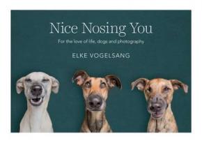 Nice Nosing You Nice Nosing You