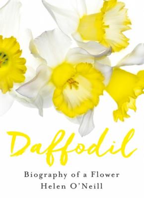 Daffodil Daffodil