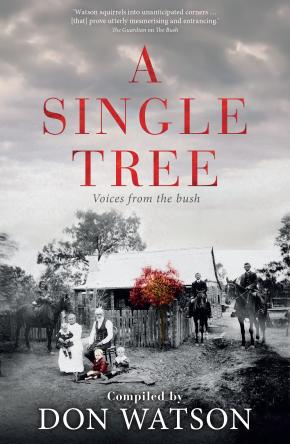 A Single Tree A Single Tree