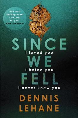 Since We Fell Since We Fell