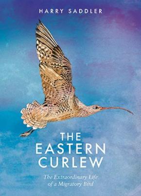 The Eastern Curlew The Eastern Curlew