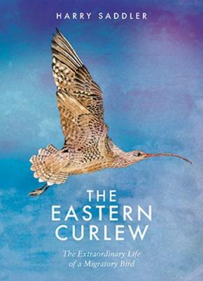 The Eastern Curlew