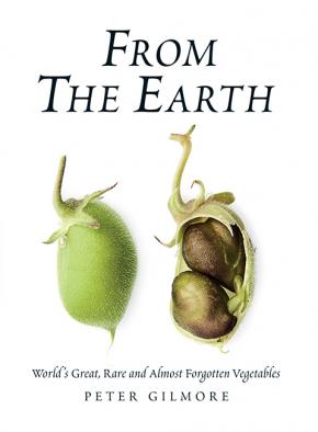 From the Earth From the Earth