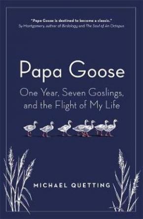 Papa Goose