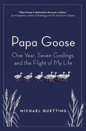 Papa Goose Papa Goose