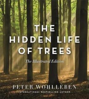 The Hidden Life of Trees (Illustrated Edition)