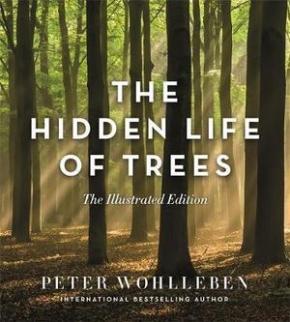 The Hidden Life of Trees (Illustrated Edition) The Hidden Life of Trees (Illustrated Edition)