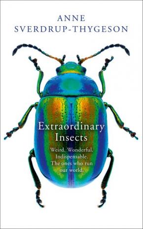 Extraordinary Insects Extraordinary Insects