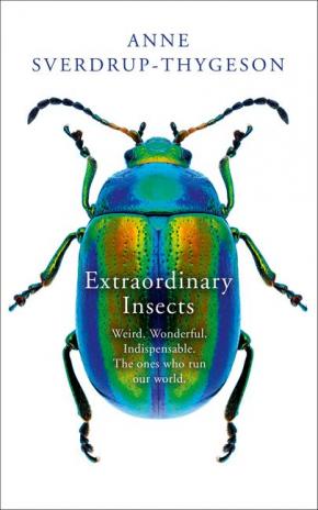 Extraordinary Insects