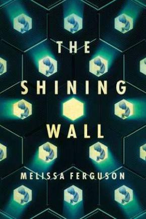 The Shining Wall The Shining Wall
