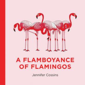 A Flamboyance of Flamingos A Flamboyance of Flamingos