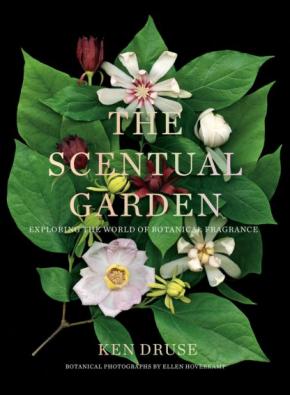 Scentual Garden: Exploring the World of Botanical Fragrance Scentual Garden: Exploring the World of Botanical Fragrance