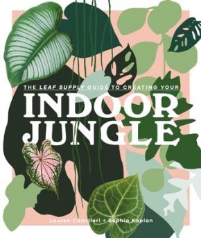 Leaf Supply Guide to Creating Your Indoor Jungle Leaf Supply Guide to Creating Your Indoor Jungle