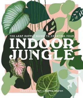 Leaf Supply Guide to Creating Your Indoor Jungle