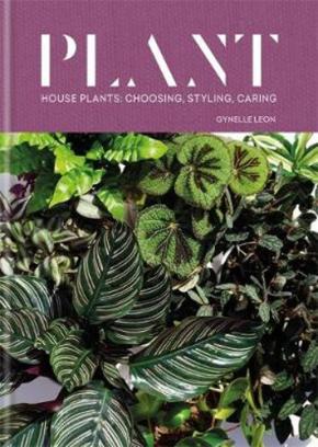 Plant Plant