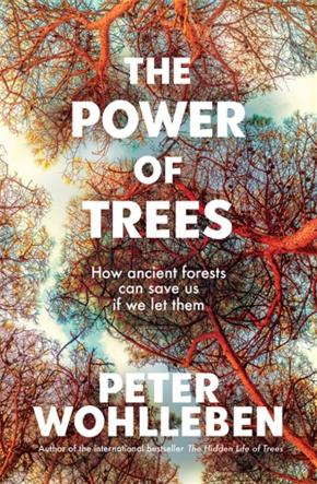 The Power of Trees The Power of Trees