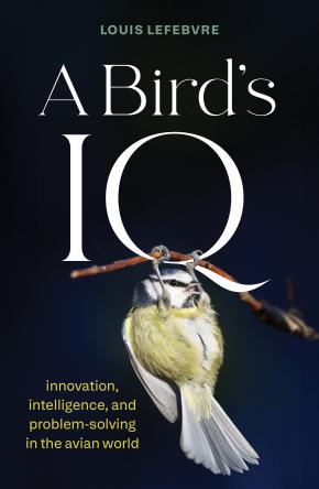 A Bird's IQ